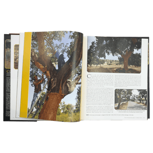 Photo of the interior of the House of Cork book showing cork trees in Portugal during the harvest. 