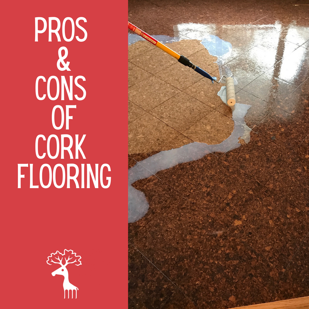 What You Should Know About Cork Flooring