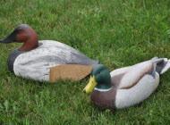 Two carved ducks made from a high density cork block. The right duck has a yellow beak with a green head and white body while the left duck has a black beak, brown head and white body. 
