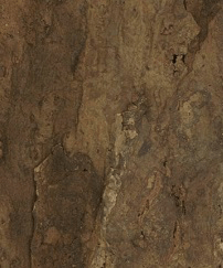 Cork Wall Tile - Arizona - Natural Arizona Cork Belly Tile - Naturally Anti-Microbial Hypoallergenic Sustainable Eco-Friendly Cork