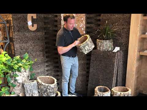 A video where Sonny Jelinek shows the different sizes of cork bark planters available.