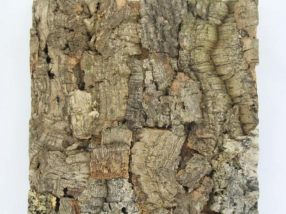 Cork Wall Tile - Colorado - Natural Cork Top - Naturally Anti-Microbial Hypoallergenic Sustainable Eco-Friendly Cork