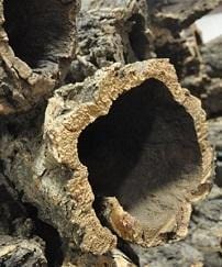 Virgin Cork Bark - Tubed (priced per kilogram) - Naturally Anti-Microbial Hypoallergenic Sustainable Eco-Friendly Cork